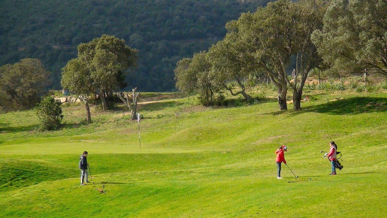 Competitions 18:02:17 43