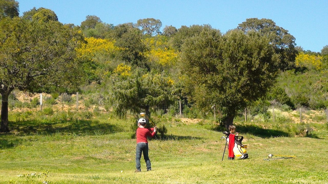 Competitions 29:03:17 11