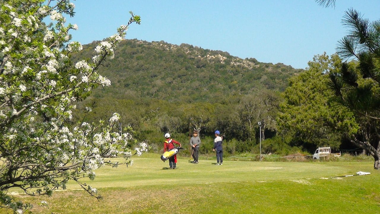 Competitions 29:03:17 35