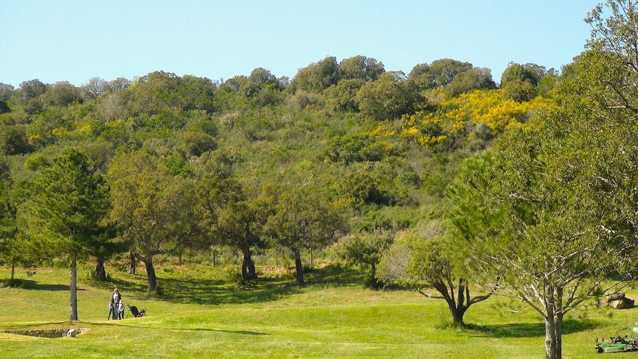 Competitions 29:03:17 40