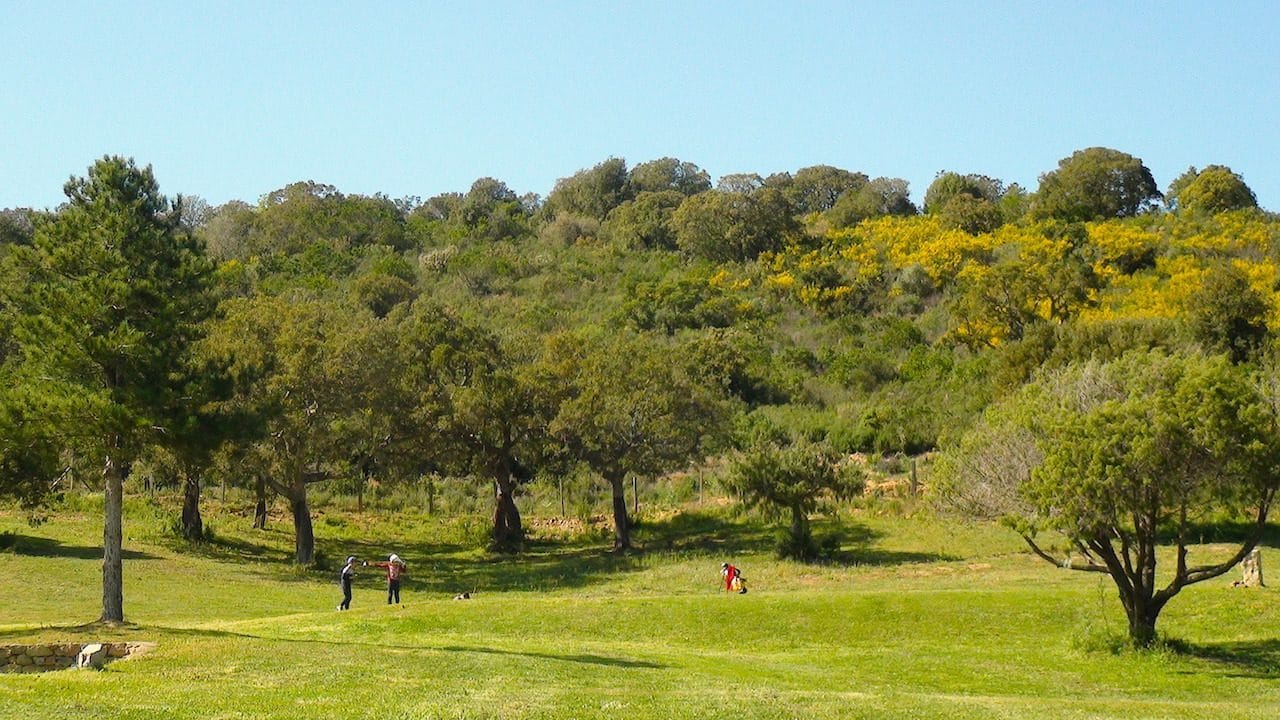 Competitions 29:03:17 48