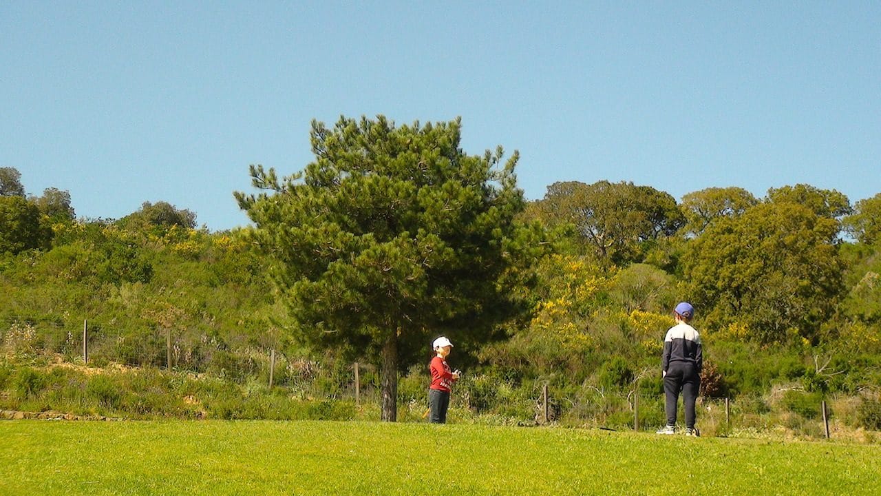 Competitions 29:03:17 8