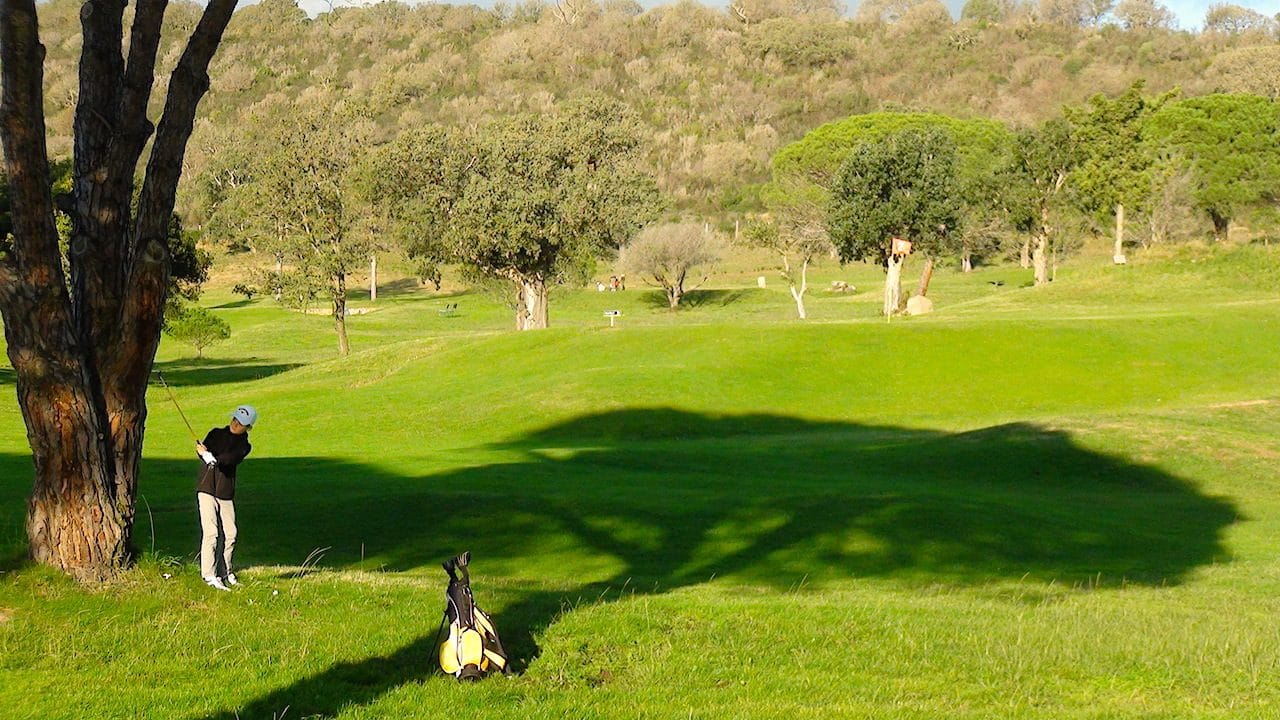 Competitions 30:11:2019 8