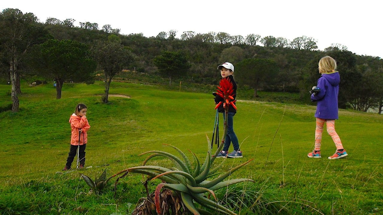 Competitions 29:01:20 16