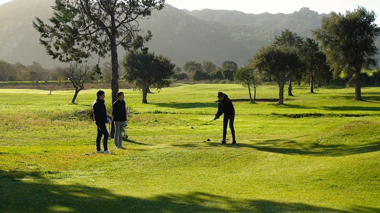 Competitions 15:02:20 14